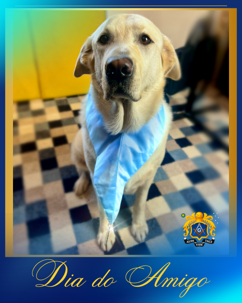 Dia do Amigo